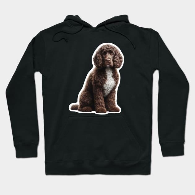 American Water Spaniel Hoodie by millersye